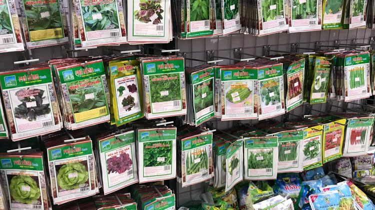 hạt giống rau
