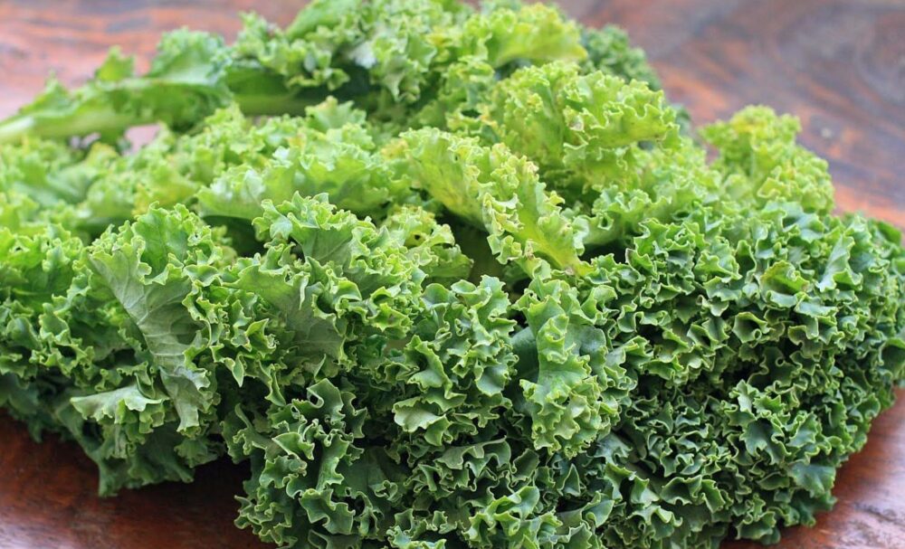 Hạt giống rau cải Kale