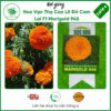 Hạt giống Hoa Vạn Thọ Cao Lỡ Đỏ cam Lai F1 Marigold 945